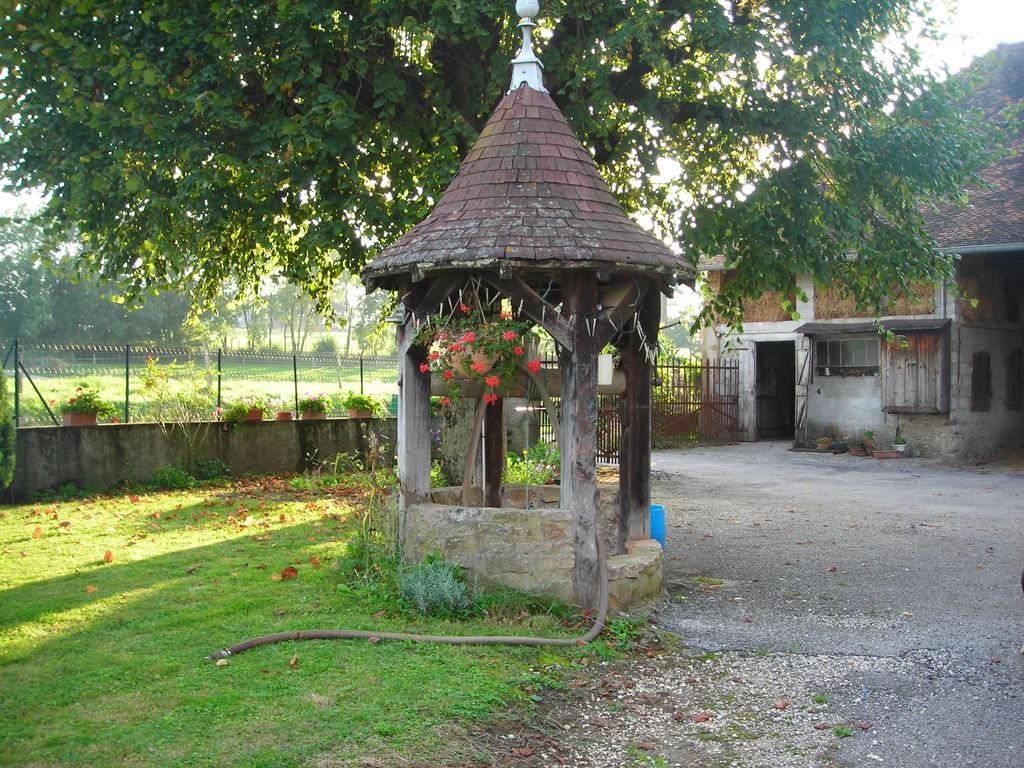 La Bardeliere Villa Corbelin Dış mekan fotoğraf