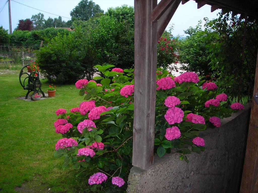 La Bardeliere Villa Corbelin Dış mekan fotoğraf
